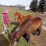 Spreewald-pension Marina *