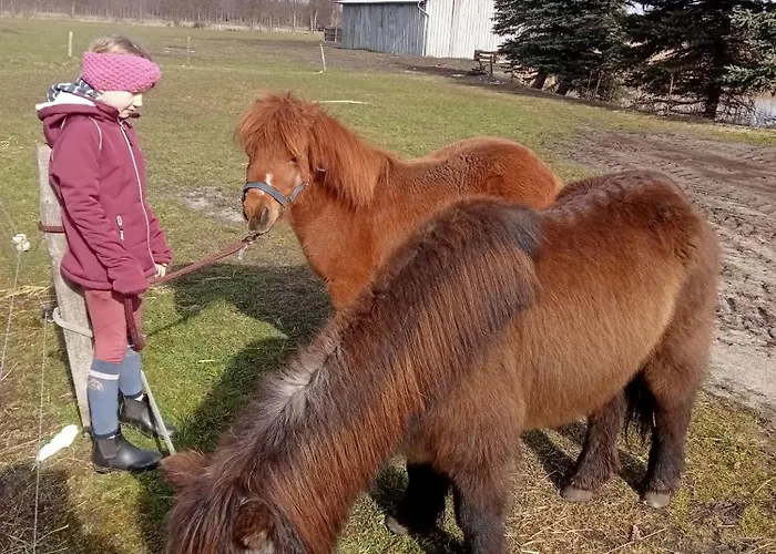 Spreewald-pension Marina *